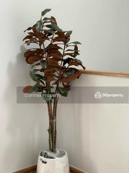 For Rent - Pleno Sukhumvit-Bangna 3, Samut Prakan