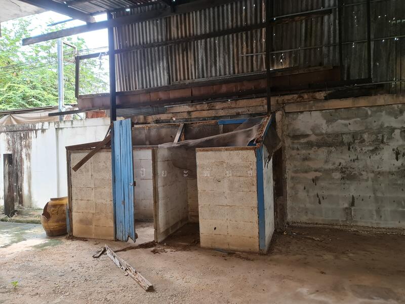 ขาย - ตำบล ธาตุเชิงชุม อำเภอ เมืองสกลนคร จังหวัด สกลนคร, สกลนคร