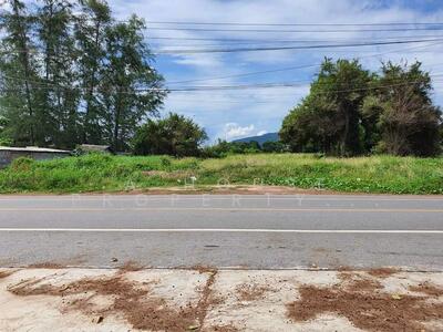 ขาย - ขายที่ดินหาดแม่รำพึง ระยอง ถนนเลียบชายหาด ตะพง, ระยอง