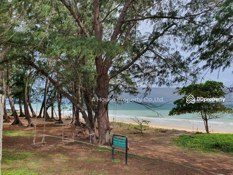 ขาย - ขายที่ดินหาดแม่รำพึง ระยอง ถนนเลียบชายหาด ตะพง, ระยอง