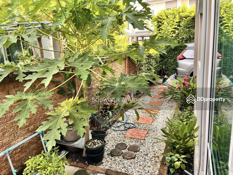 For Rent - The Plant Thepharak, Samut Prakan