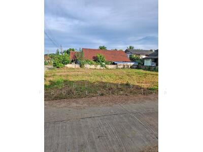 ขาย - ที่ดินเทิง เชียงราย, เชียงราย