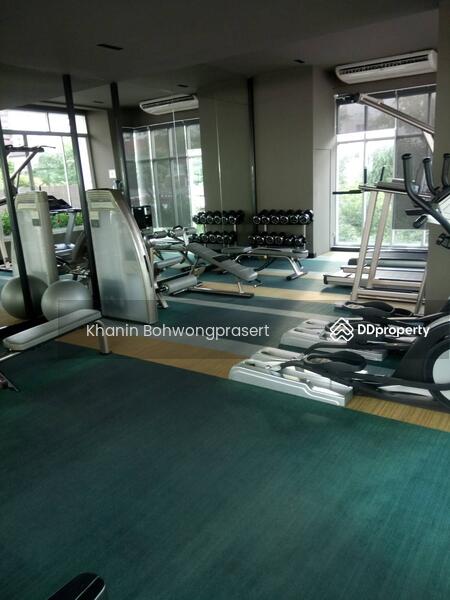 ให้เช่า - The Knight Sukhumvit 31 : เดอะ ไนท์ สุขุมวิท 31, กรุงเทพ