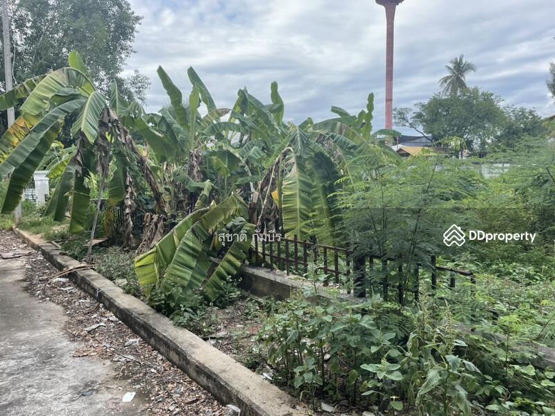 For Sale - ที่ดินเปล่า หมู่บ้าน อุษา ฟ้าฮ่าม เชียงใหม่ 193 ตรว., Chiang Mai