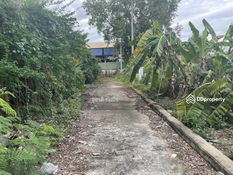 For Sale - ที่ดินเปล่า หมู่บ้าน อุษา ฟ้าฮ่าม เชียงใหม่ 193 ตรว., Chiang Mai