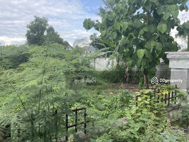 For Sale - ที่ดินเปล่า หมู่บ้าน อุษา ฟ้าฮ่าม เชียงใหม่ 193 ตรว., Chiang Mai