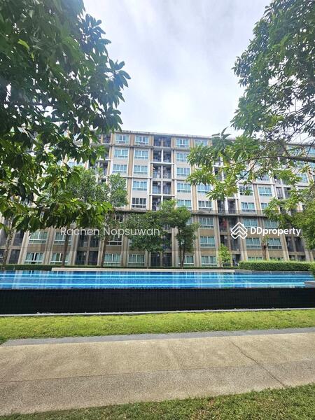 ให้เช่า - Dcondo Karnjanavanich Hatyai : ดีคอนโด กาญจนวนิช หาดใหญ่, สงขลา