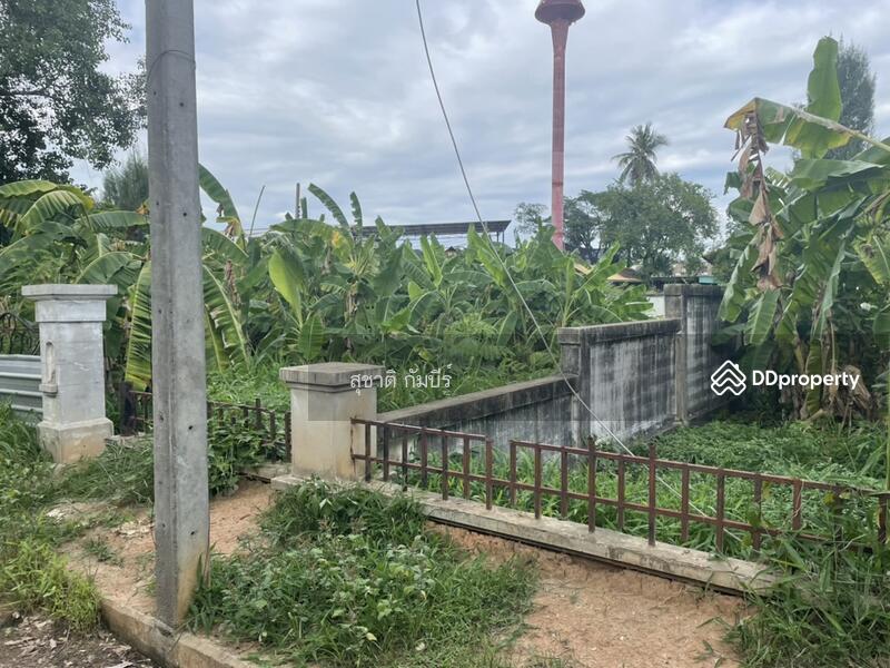 For Sale - Land for Sale A.Muang 193 SQW USA-Faham Village, Chiang Mai