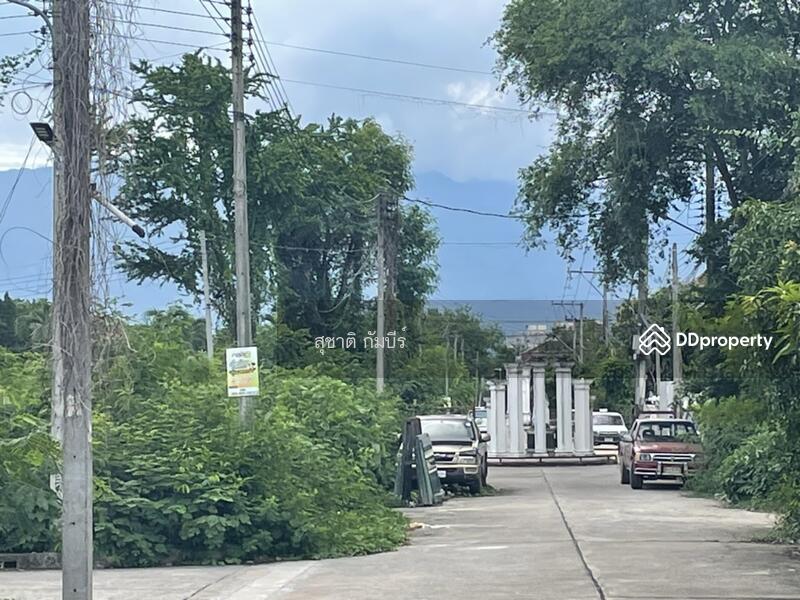 For Sale - Land for Sale A.Muang 193 SQW USA-Faham Village, Chiang Mai