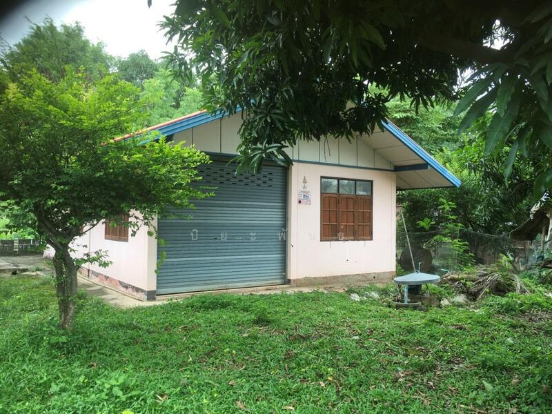 For Sale - ตำบล สระพังทอง อำเภอ เขาวง จังหวัด กาฬสินธุ์, Kalasin