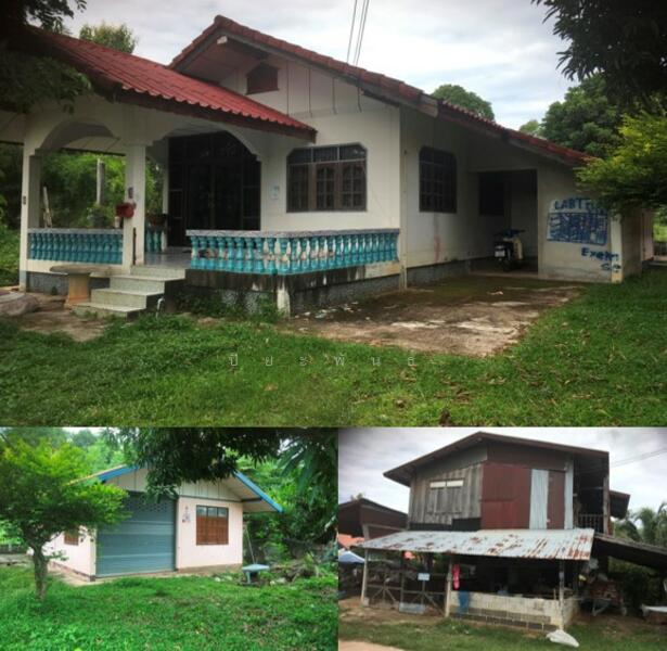 ขาย - ตำบล สระพังทอง อำเภอ เขาวง จังหวัด กาฬสินธุ์, กาฬสินธุ์