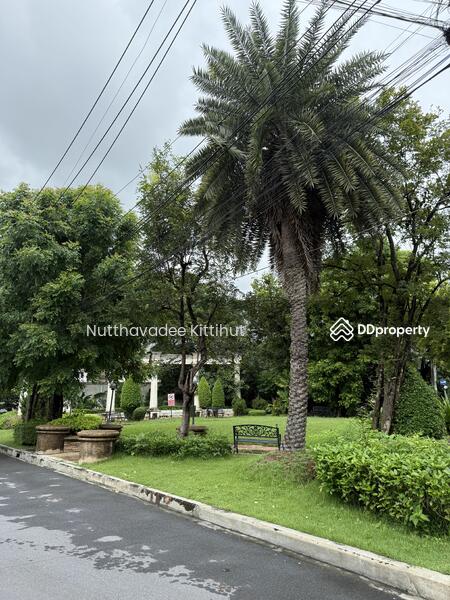 For Rent - Perfect Place Wongwaen-Ramkhamhaeng, Bangkok
