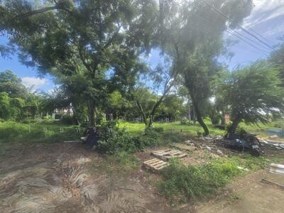 ขาย - ขายที่ดินเปล่า ปากเกร็ด นนทบุรี ราคาดีต่อรองได้ใกล้แหล่งชุมชน เนื้อที่ 1-1-3.3 ไร่ ใกล้ทางด่วน, นนทบุรี