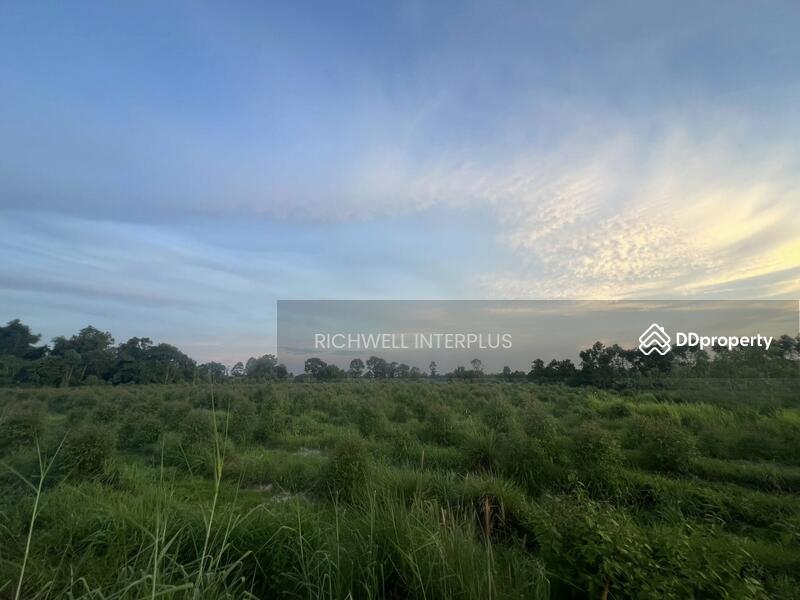 For Sale - Land for sale in Ban Na, 9 rai, near Bo Thong Industrial Estate, 33-4 km, Kabin Buri District, Prachin Buri