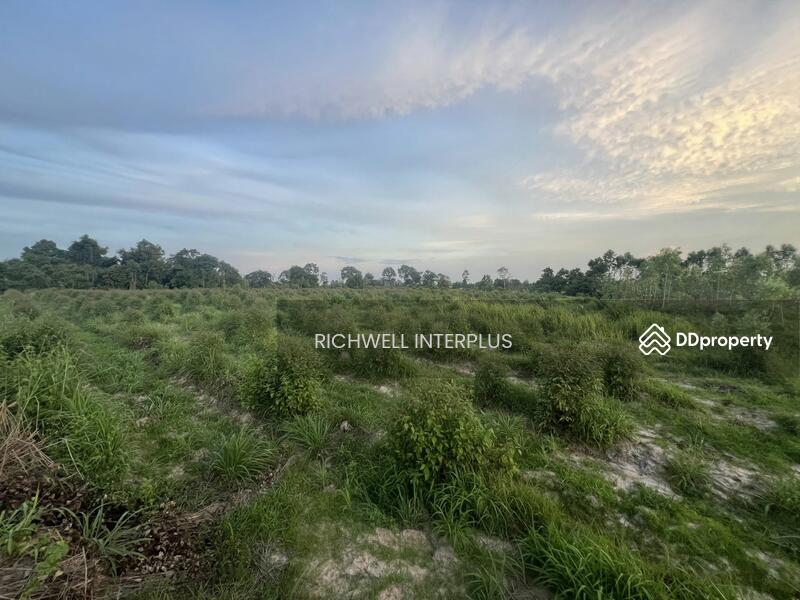 For Sale - Land for sale in Ban Na, 9 rai, near Bo Thong Industrial Estate, 33-4 km, Kabin Buri District, Prachin Buri