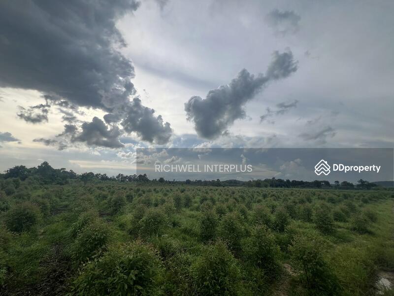 For Sale - Land for sale in Ban Na, 9 rai, near Bo Thong Industrial Estate, 33-4 km, Kabin Buri District, Prachin Buri