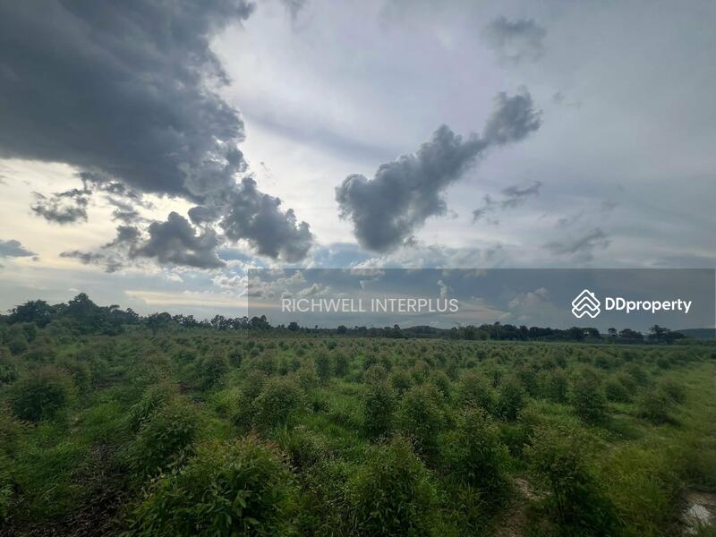 For Sale - Land for sale in Ban Na, 9 rai, near Bo Thong Industrial Estate, 33-4 km, Kabin Buri District, Prachin Buri