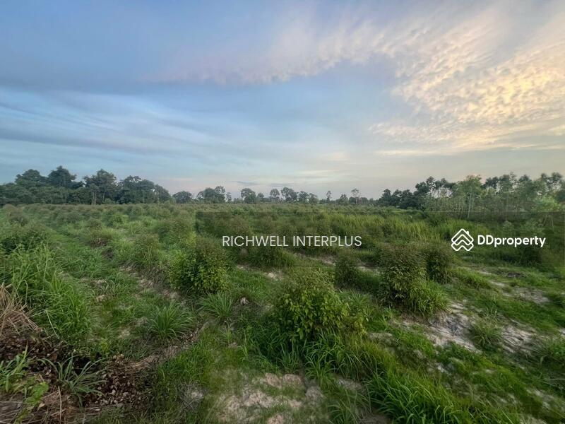 For Sale - Land for sale in Ban Na, 9 rai, near Bo Thong Industrial Estate, 33-4 km, Kabin Buri District, Prachin Buri