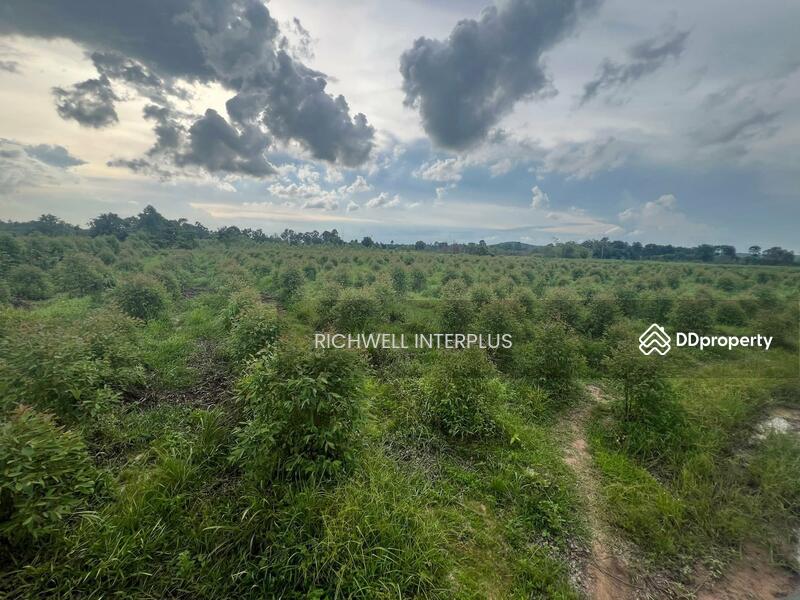 For Sale - Land for sale in Ban Na, 9 rai, near Bo Thong Industrial Estate, 33-4 km, Kabin Buri District, Prachin Buri
