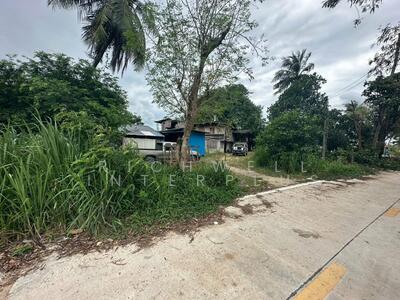 ขาย - ขายที่ดินบ้านหนองเลง หนองขาม 200 ตรว. ใกล้นิคมปิ่นทอง10กม. อ.ศรีราชา, ชลบุรี