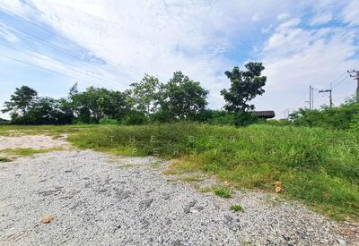 ขาย - ที่ดินพานทอง ชลบุรี, ชลบุรี