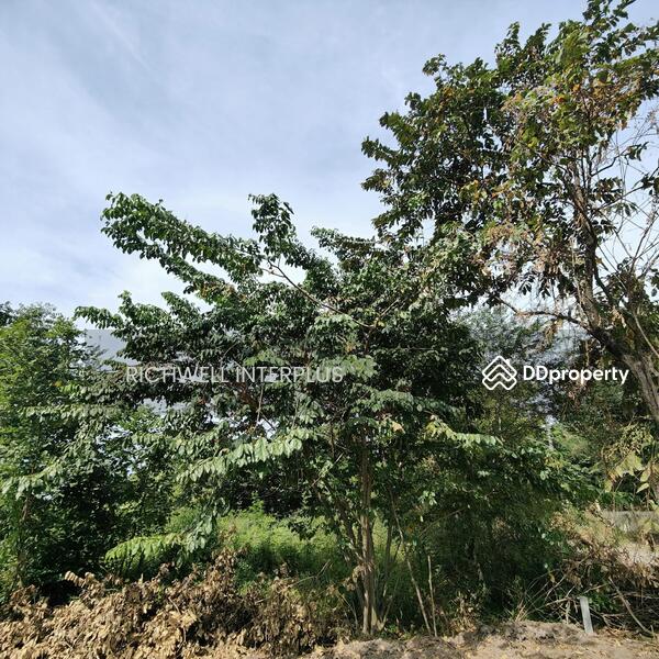 For Sale - Land for sale in Mon Thong, 80 sq m, Khlong 19, next to a concrete road, near Highway 3001-850 m,, Chachoengsao
