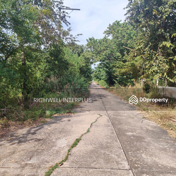 For Sale - Land for sale in Mon Thong, 80 sq m, Khlong 19, next to a concrete road, near Highway 3001-850 m,, Chachoengsao