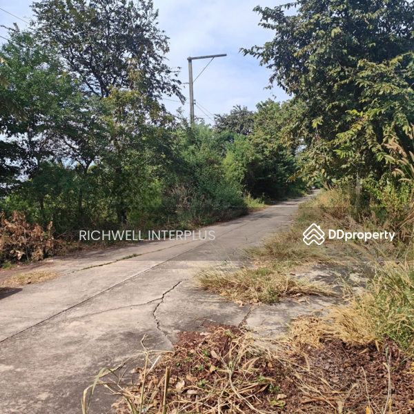 For Sale - Land for sale in Mon Thong, 80 sq m, Khlong 19, next to a concrete road, near Highway 3001-850 m,, Chachoengsao