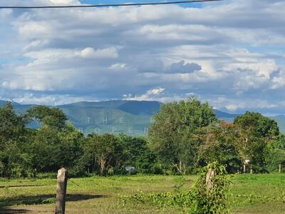 ขาย - ที่ดินแม่ริม เชียงใหม่, เชียงใหม่