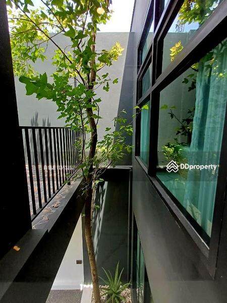 For Rent - Tran Dong village, Chiang Mai