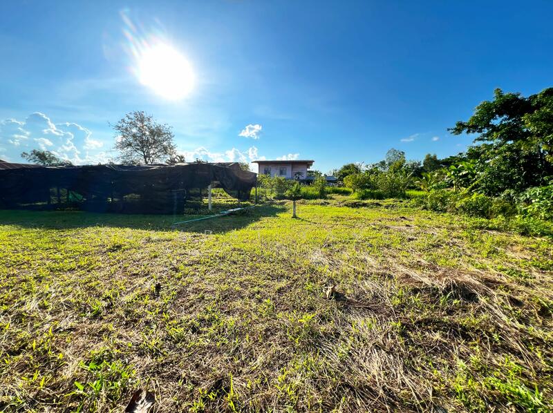 For Sale - Land for Sale: Prime Location on Main Road in Phan District, Chiang Rai, Chiang Rai