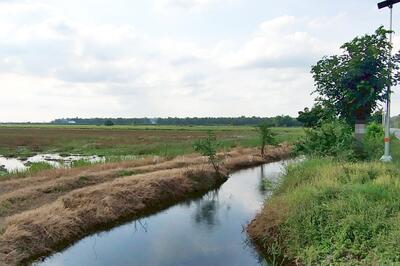 ขาย - ขายที่ดิน 97 ไร่ คลอง 9 รังสิต–นครนายก สร้างโรงงาน คลังสินค้า ผังสีม่วง, ปทุมธานี