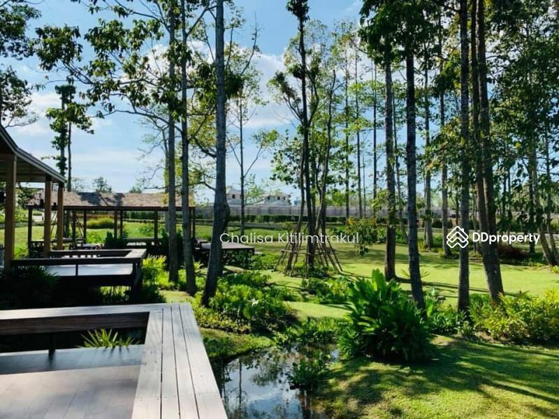 For Rent - Life In The Garden Rongpo-Motorway, Chon Buri