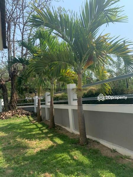For Rent - Home for rent near Grand Canyou Chiang Mai, Hang Dong, Chiang Mai