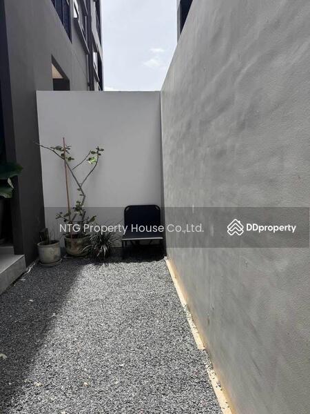 For Rent - Noble Curve, Bangkok