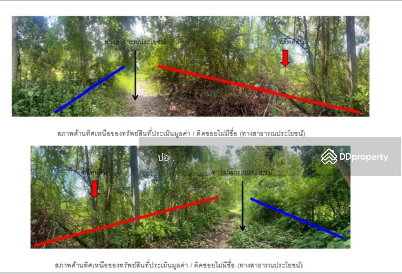 ขาย - ที่ดินทองผาภูมิ ที่ดินติดแม่น้ำแควน้อย ท่าขนุน กาญจนบุรี, กาญจนบุรี