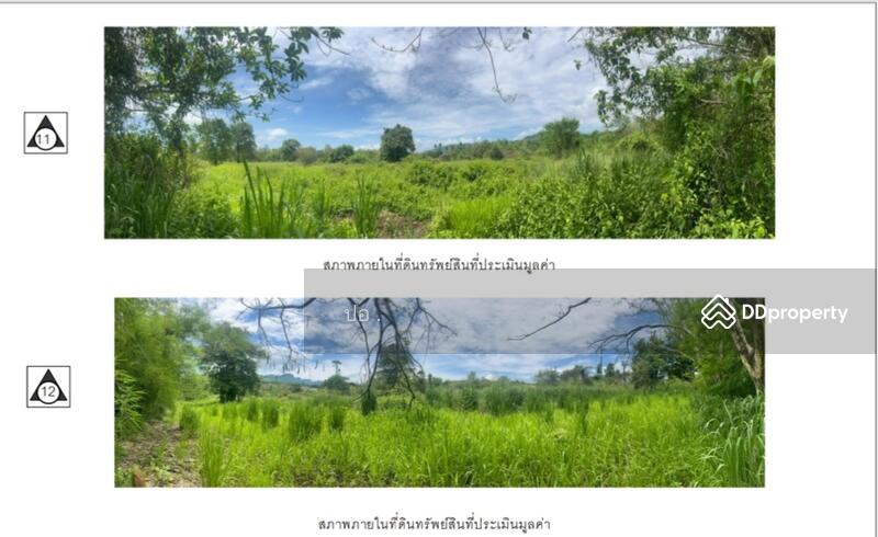 ขาย - ที่ดินทองผาภูมิ ที่ดินติดแม่น้ำแควน้อย ท่าขนุน กาญจนบุรี, กาญจนบุรี