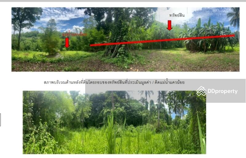 ขาย - ที่ดินทองผาภูมิ ที่ดินติดแม่น้ำแควน้อย ท่าขนุน กาญจนบุรี, กาญจนบุรี