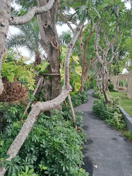 Copacabana Beach Jomtien, Chon Buri (Pattaya), Jomtien Sai Song Rd, Nong Pru, Bang Lamung (Pattaya), Chon Buri (Pattaya), 1 Bedroom, 29 sqm, Condo For Sale, by คุณรินดา, 60164584 - DDproperty.com