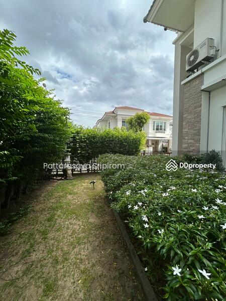 ให้เช่า - Casa Grand Onnuch-Wongwhean : คาซ่า แกรนด์ อ่อนนุช-วงแหวน, กรุงเทพ