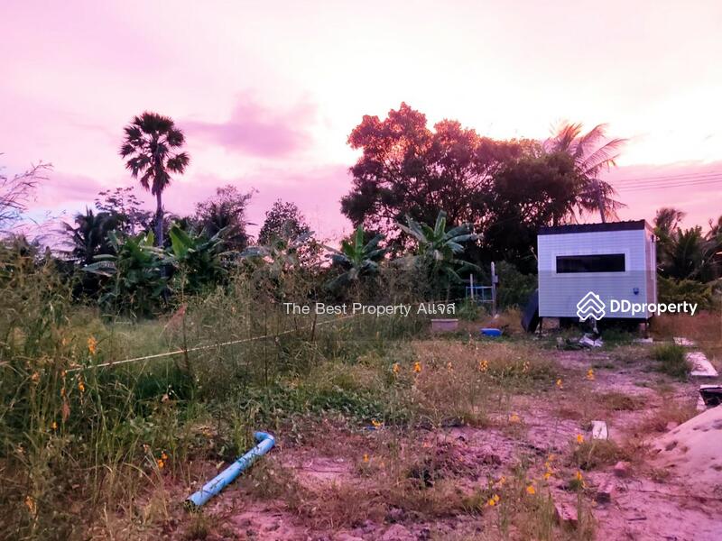 ขาย - ที่ดินบ้านแพ้ว สมุทรสาคร, สมุทรสาคร