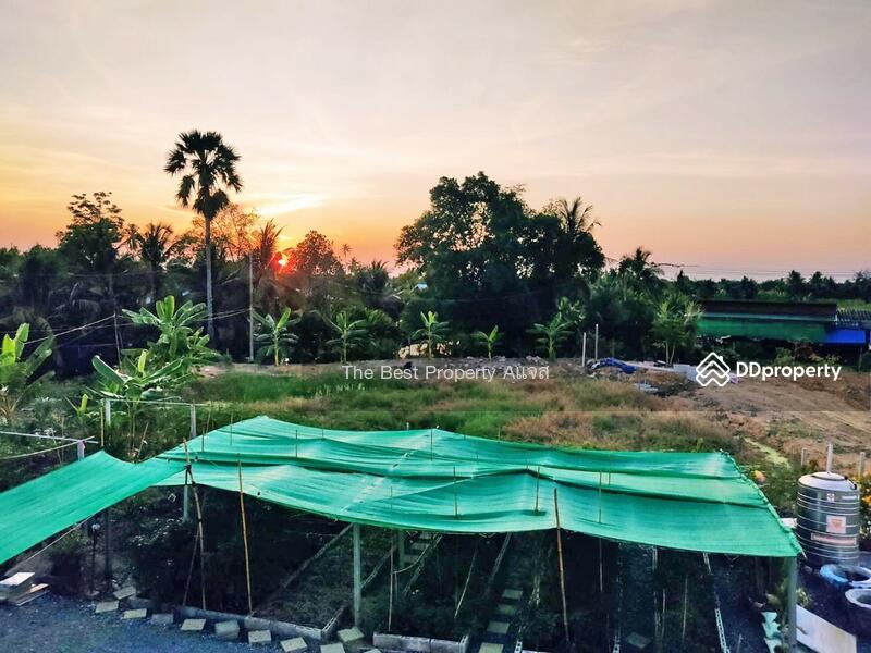 ขาย - ที่ดินบ้านแพ้ว สมุทรสาคร, สมุทรสาคร