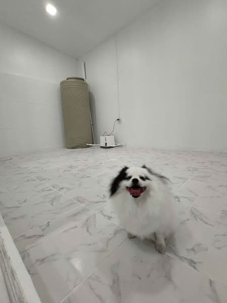 RK PARK 2 Ramintra-Safari : อาร์เค พาร์ค 2 รามอินทรา-ซาฟารี, กรุงเทพ, ถนน เลียบคลองสอง, บางชัน, คลองสามวา, กรุงเทพ, 145 ตร.ม., ทาวน์เฮ้าส์ ขาย, โดย Connex Property, 60165592 - DDproperty.com