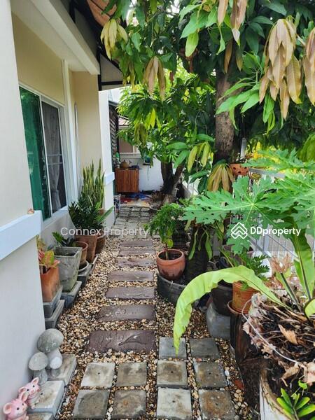 ขาย - Lumpini Suite Pinklao : ลุมพินี สวีท ปิ่นเกล้า, กรุงเทพ
