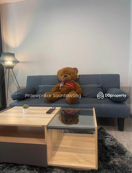 ให้เช่า - Rye Sukhumvit 101/1 : ไรย์ สุขุมวิท 101/1, กรุงเทพ
