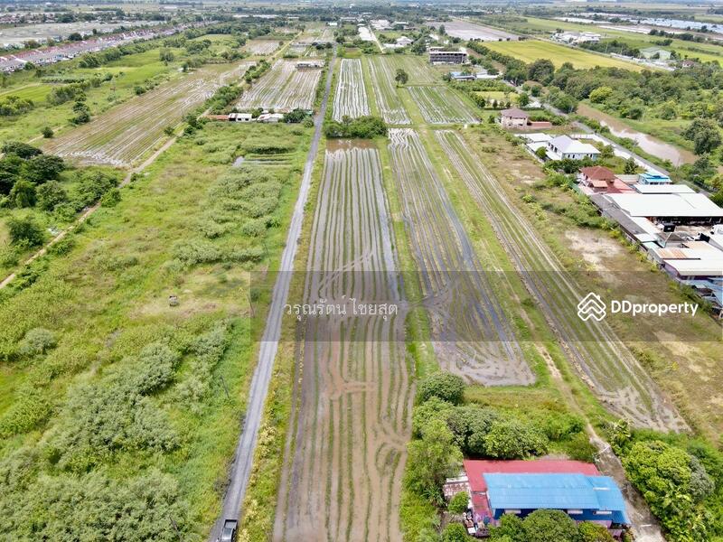 ขาย - ใกล้ถนนรังสิตนครนายก300ม. ที่ดิน100ตรว. 8.5แสน คลอง11 ธัญบุรี (ฝั่งลำลูกกา) o86-3ol-6l6l, ปทุมธานี