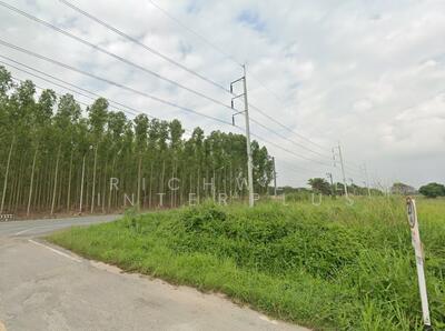 ขาย - ขายที่ดินหนองเสือช้าง ท่าจาม 11 ไร่ ติดถนนชบ.3083 ติดถนนสาธารณะรอบด้าน ใกล้นิคมWHA3-5กม., ชลบุรี