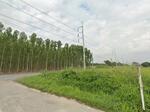 ขายที่ดินหนองเสือช้าง ท่าจาม 11 ไร่ ติดถนนชบ.3083 ติดถนนสาธารณะรอบด้าน ใกล้นิคมWHA3-5กม., ชลบุรี
