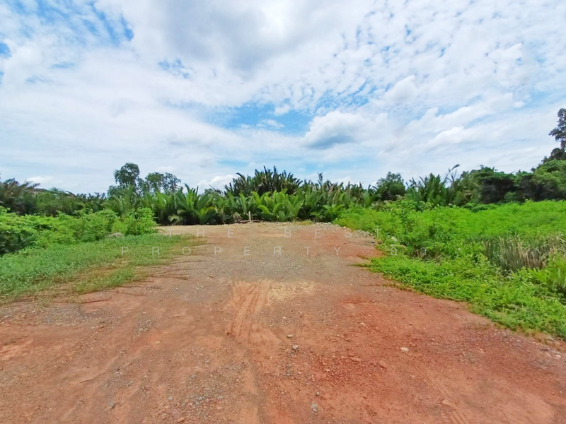 ที่ดินนางตะเคียน สมุทรสงคราม, Samut Songkhram, Nang Ta Khian, Muang Samut Songkhram, Samut Songkhram, , 4,918 sqm, Land For Sale, by The Best Property อิ๋ว, 60166490 - DDproperty.com