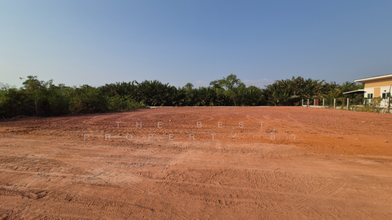 ที่ดินนางตะเคียน สมุทรสงคราม, สมุทรสงคราม, นางตะเคียน, เมืองสมุทรสงคราม, สมุทรสงคราม, 4,918 ตร.ม., ที่ดิน ขาย, โดย The Best Property อิ๋ว, 60166490 - DDproperty.com